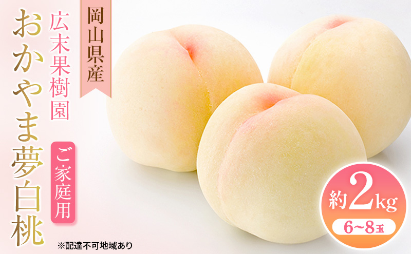 【2026年先行予約】 桃 岡山県産 ご家庭用 おかやま夢 白桃 約2kg(6～8玉)《2026年7月中旬-8月上旬頃出荷》 白桃 岡山 はくとう スイーツ フルーツ 果物 先行予約 数量限定 期間限定 岡山 里庄町 モモ もも 桃