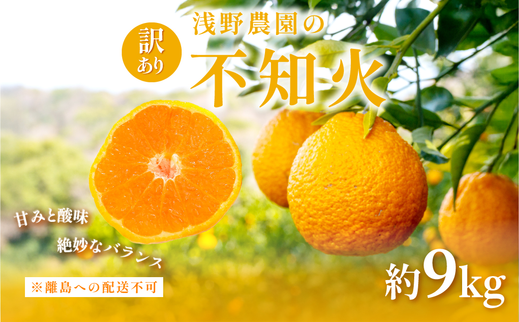 【先行予約】【訳あり】浅野農園の不知火 計10kg ※離島への配送不可（2026年2月中旬頃より順次発送予定） IKTAC030