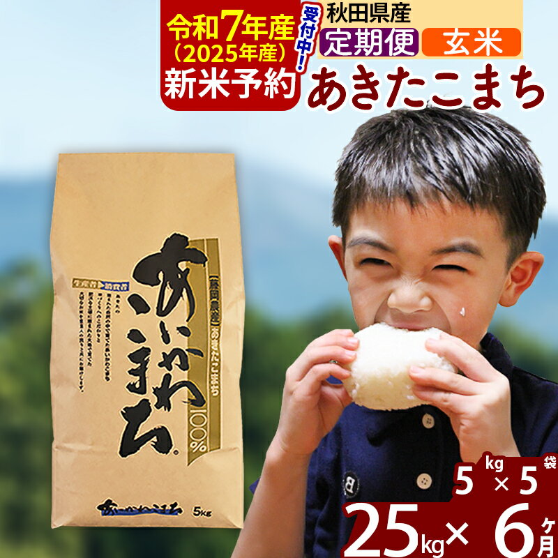【ふるさと納税】※令和7年産 新米予約※《定期便6ヶ月》秋田県産 あきたこまち 25kg【玄米】(5kg小分け袋) 2025年産 お届け周期調整可能 隔月に調整OK お米 藤岡農産