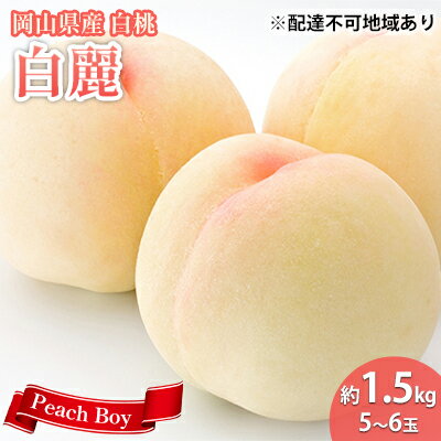 【ふるさと納税】【 2026年 先行予約】 桃 岡山県産 白麗 （ 白桃 ） 約1.5kg （4～6玉） 《2026年7月下旬-8月中旬頃出荷》 白桃 岡山 はくとう スイーツ フルーツ 果物 先行予約 数量限定 期間限定 岡山 里庄町 モモ もも 桃 　お届け：2026年7月下旬～2026年8月中旬