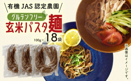 有機グアバ農園のグルテンフリー玄米パスタ麺 100g×18袋セット | 定期便 グルテン フリー グルテンフリー 食品 麺 メン めん パスタ 人気 おすすめ JAS認証済 高知県 南国市