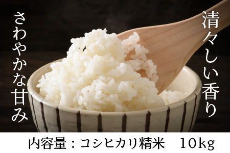令和8年産・新米 コシヒカリ 10kg（精米） [B-11302_03]