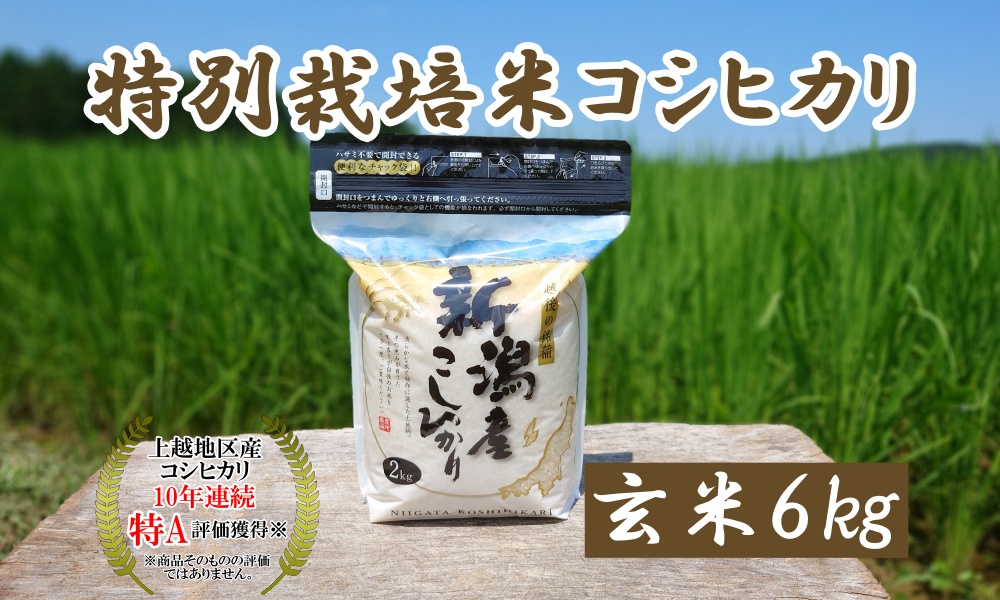 米 令和5年産 新潟上越三和産 特別栽培米コシヒカリ6kg 玄米 こしひかり コシヒカリ お米 こめ 新潟 新潟産