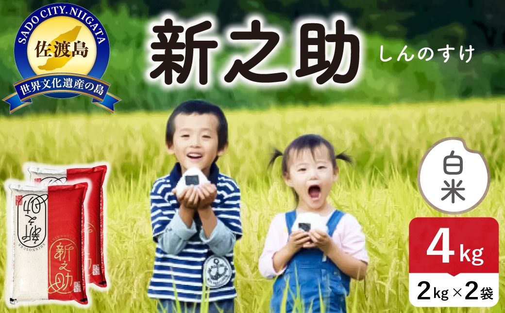 
                  令和8年産 佐渡島産 新之助 白米4kg | 新潟県産新之助 新潟産新之助 佐渡産新之助 新之助 お米 米 白米 精米 おこめ コメ 4キロ にいがた さど 新潟県 佐渡市 195962-101202
                