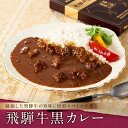 【ふるさと納税】喜八郎謹製・飛騨牛黒カレー ご当地カレー 山一商事 EN001