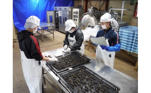 ナマコの仕上がり具合を一つ一つ検査して選別しています