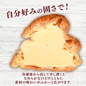 【乳化剤不使用】シューアイス 6個 手作り アイス