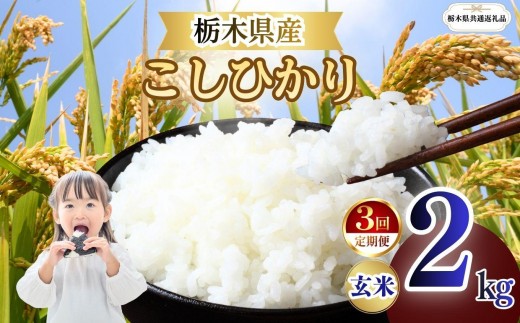 【定期便3回】栃木県産 こしひかり 玄米 2kg 2026年 先行予約 | 栃木県 矢板市