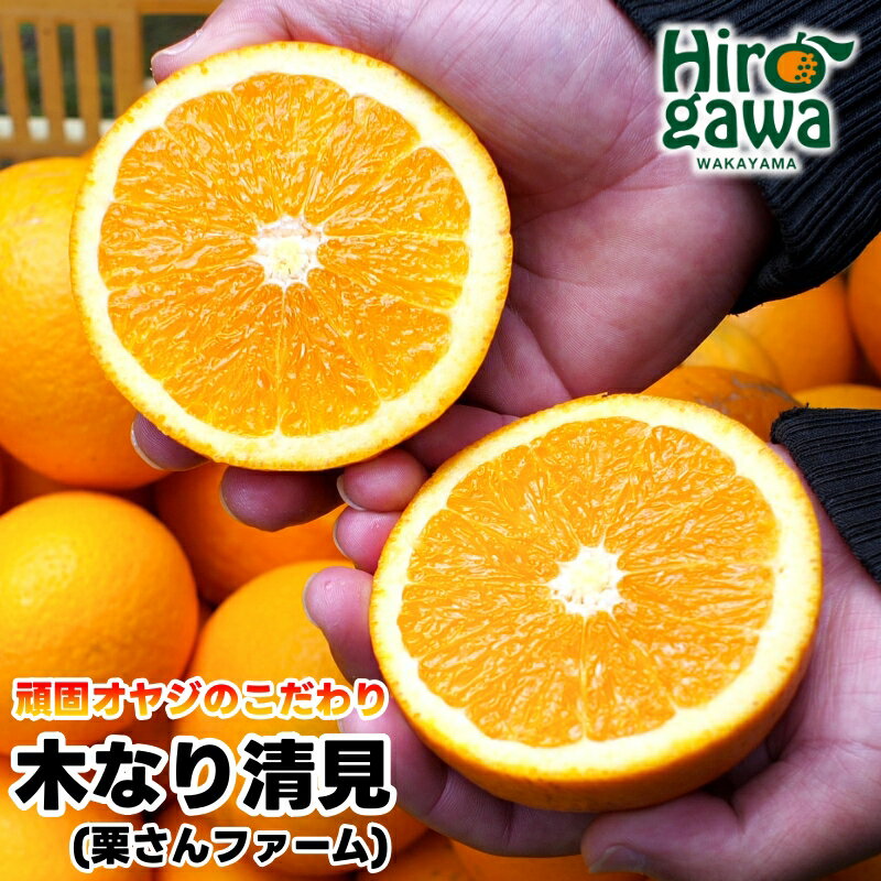 【ふるさと納税】 木なり 清見 オレンジ 頑固オヤジのこだわり / 清見オレンジ 清見タンゴール きよみ 清美 甘い 完熟 和歌山 柑橘 2kg 7000円 ※3月中旬〜4月上旬に順次発送 //dekopon