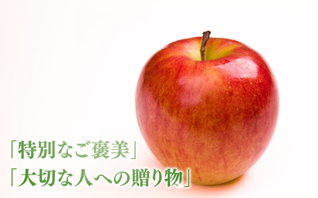 【2025年先行予約】りんご シナノスイート 12~20玉 約5kg｜ りんご りんご りんご りんご りんご りんご