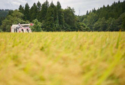 【令和7年産新米予約】コシヒカリ「やまびこ米」 5kg 玄米黒酢農法 金賞受賞 特別栽培米 白米 精米 農家直送 10月中旬より順次発送予定 1P02015
