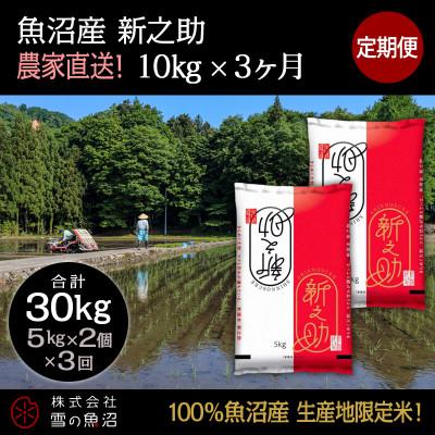 ふるさと納税 十日町市 【毎月定期便】【中里地域限定!魚沼産 新之助】 10kg(5kg×2袋)×3 合計30kg全3回