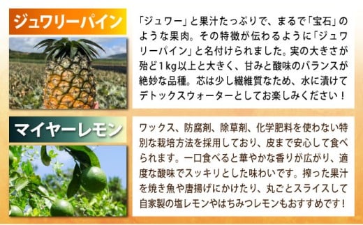 《年4回発送》パイナップル好きにおすすめ！大満足のパイナップル３品種＆マイヤーレモン定期便 《2027年4月以降発送》TF-067-t04