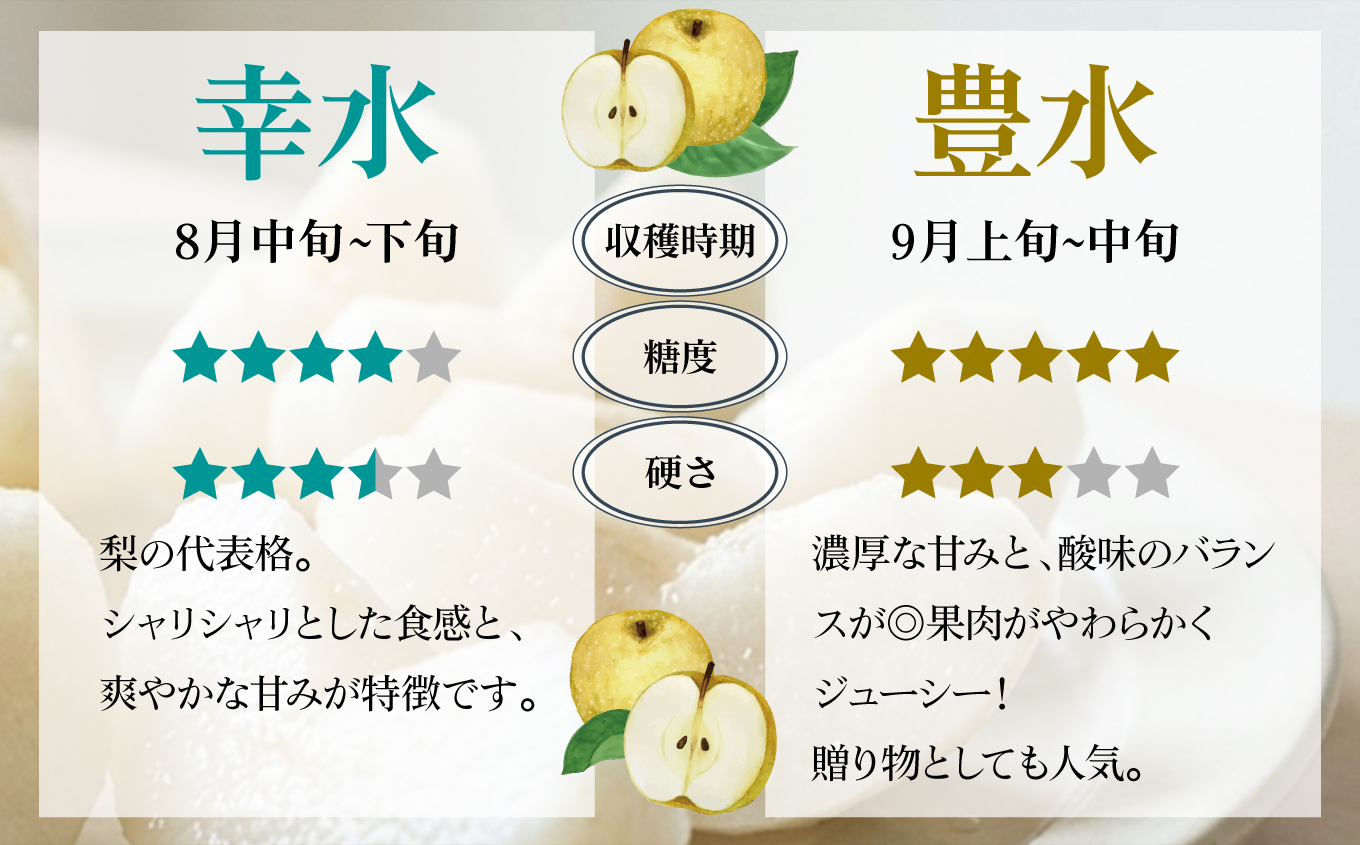 【先行予約】福島県いわき市産 梨(豊水) 約3kg | 梨 豊水 いわき市産 草野農園 約3kg 先行予約 期間限定 果物 フルーツ 和梨 国産 新鮮 産地直送 甘い 濃厚果汁 ジューシー 瑞々しい 
