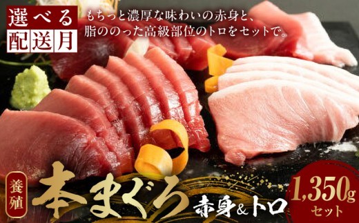 
                  本マグロ （養殖） 赤身 ＆ トロ セット 1350g _AZ6020-sku
                