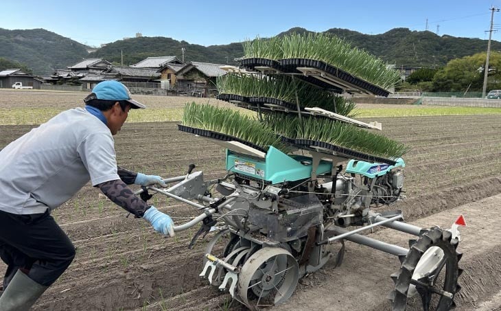トロっと甘い！！淡路島産新玉ねぎ10㎏