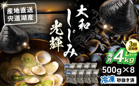 【全3回定期便】産地直送！宍道湖産 冷凍大和しじみLサイズ4kg(500g×8) 砂抜き処理済 島根県松江市/りすたむmatsue[ALDE016]