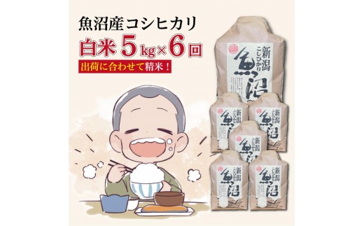
                  【６か月定期便】令和８年産新米　魚沼産コシヒカリ 精米５kg×６回　計30kg
                