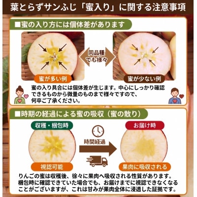 11-12月 蜜入り時期に厳選発送! 青森県産 りんご 訳あり 葉とらずサンふじ 家庭用 約10kg【配送不可地域：沖縄県】