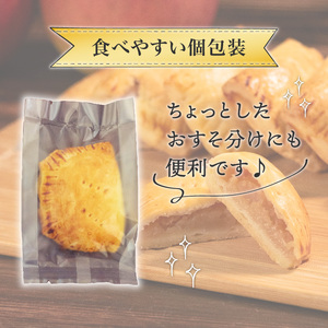 【先行予約受付中】アップルパイ 5個 期間限定