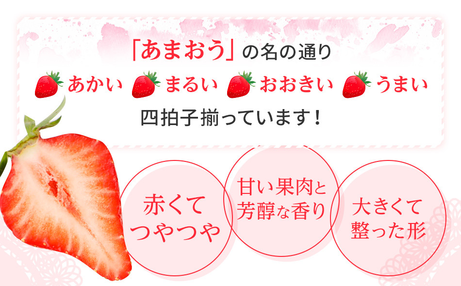 【定期便】博多あまおう 福岡県JAグループのブランドあまおういちご 1080g（約270g×4パック）×2回 ※2月・3月お届け アフター保証 いちご 博多あまおう 2025年先行予約受付 おすすめ 