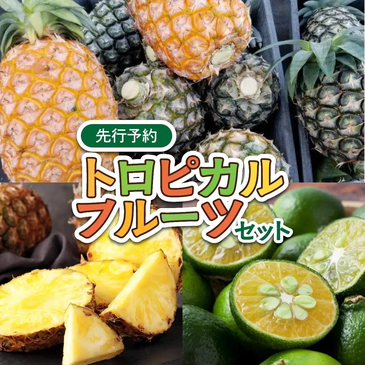 【2027年先行予約】トロピカルフルーツ セット パイン シークワーサー 