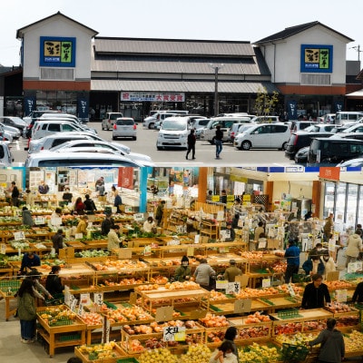しまなみ彩野菜セット(今治産野菜の詰合せ)【VB00100】【配送不可地域：離島】