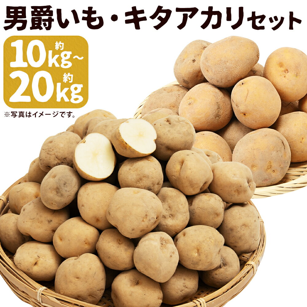 【ふるさと納税】じゃがいも 男爵・キタアカリセット 約10kg/約20kg 選べる内容量 Lサイズ じゃがいも 2種類 食べ比べ セット 芋 野菜 京極町産 北海道産 国産 送料無料【2025年9月下旬～12月下旬に順次発送予定】
