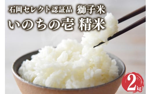 【令和6年産】 獅子米 いのちの壱 精米 2kg 岡田ファーム コンテスト受賞米 お米 白米 米 おこめ ブランド米 2キロ 国産 単一原料米 コメ こめ ご飯 銘柄米 茨城県産 茨城 産直 産地直送 農家直送 ごはん 家庭用 贈答用 お取り寄せ 茨城県 石岡市 (B02-055)