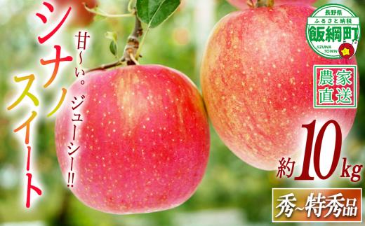 りんご シナノスイート 秀 ～ 特秀 10kg 渡辺農園 2026年10月中旬頃から2026年10月下旬頃まで順次発送予定 令和8年度収穫分 エコファーマー認定 減農薬栽培 長野県 飯綱町 [0172]