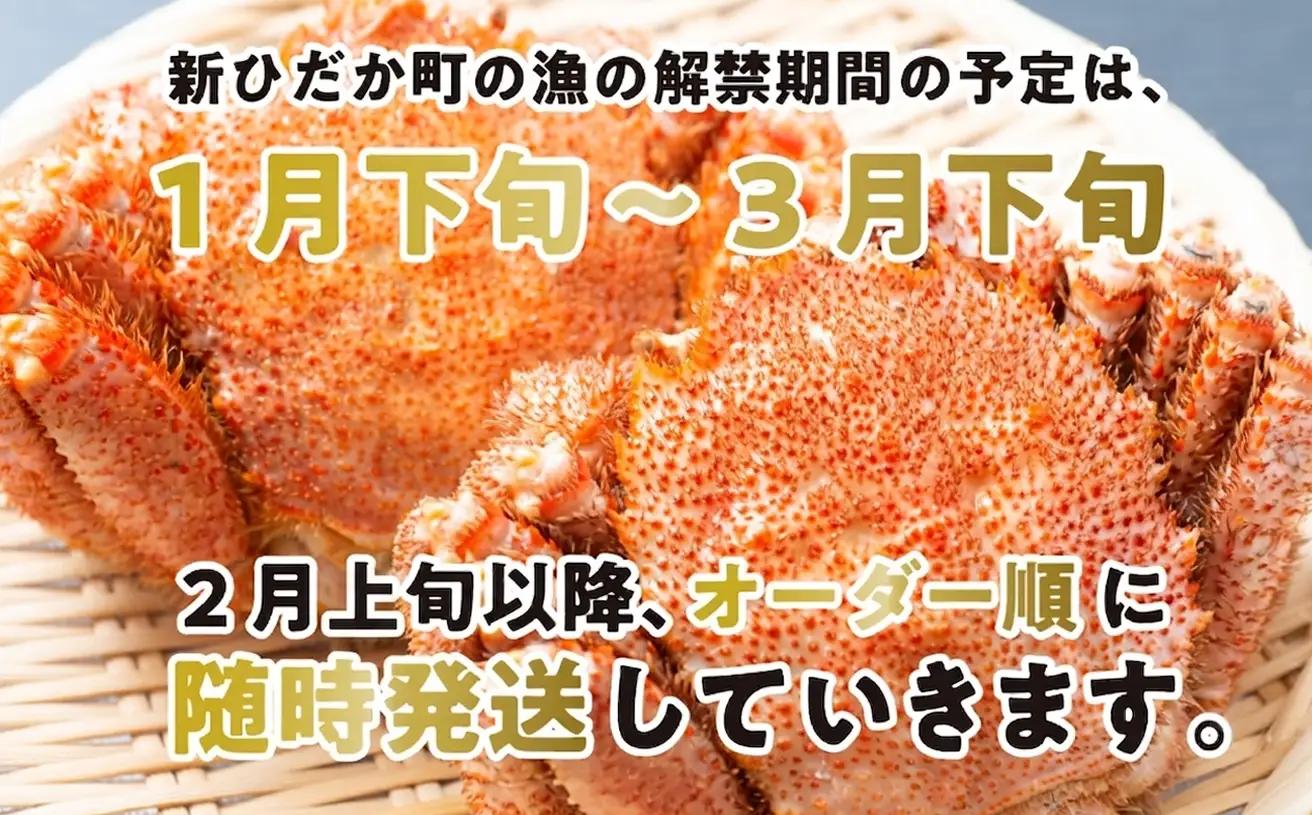 ＜ 2027年2月上旬より発送開始 ＞ 訳あり 北海道産 浜ゆで 毛ガニ 約2kg 冷蔵 毛蟹 毛がに かに味噌 カニ味噌 ＜ 予約受付 ＞