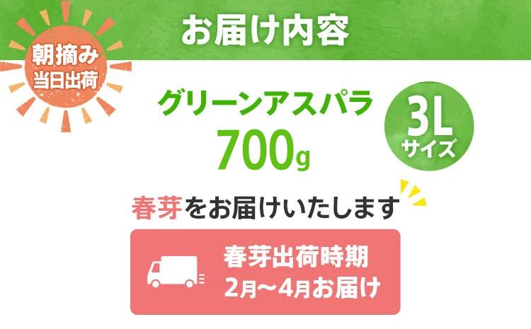 数量限定 先行予約 アスパラ 3Lサイズ 700g 春芽　朝採り 朝採れ 直送 グリーンアスパラガス アスパラ 【2月～4月お届け】 BT01 春芽【2月～4月お届け】