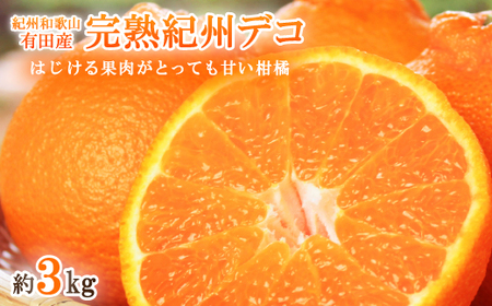 果肉プリプリ♪　完熟紀州デコ(不知火) 約3kg【日高町】【1216969】