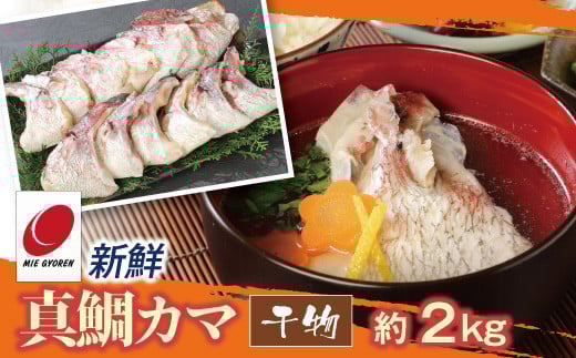 新鮮真鯛カマ干物（約2Kg）　M079-011-04