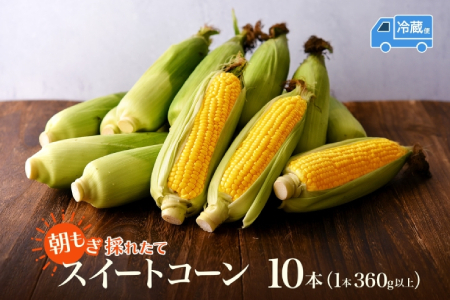 【ふるなびWEEK対象】とうもろこし 10本 スイートコーン トウモロコシ コーン 甘い 採れたて 朝採り 野菜 旬の野菜 農作物 お取り寄せ 北海道産 産地直送 北海道 美深町 FN-Limited