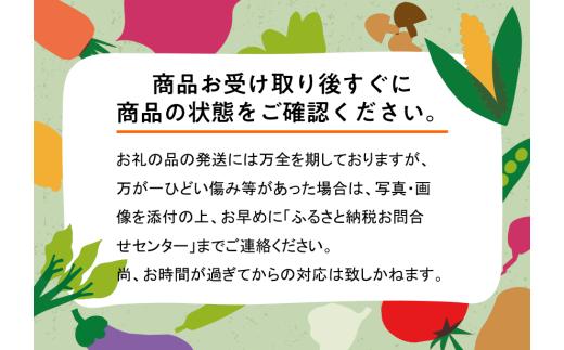 【数量限定】北海道共和町産りんご TEMATA FIRST シナノスイート・ぐんま名月 食べ比べセット
