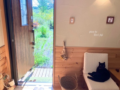 0059-102-01 【女性限定】富士山の麓で創られた植物療法トリートメント 160分コース TERA'S FUJI テラスフジ