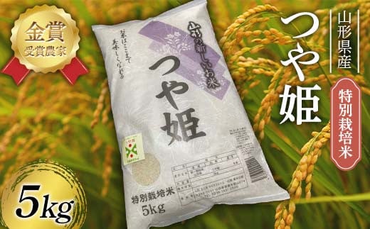 令和7年産 特別栽培米 つや姫 5kg F2Y-4480