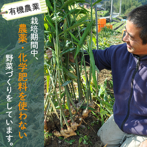 【栽培期間中、農薬・化学肥料不使用】桐島畑の季節野菜詰め合わせ(5種類)(定期便12か月コース)　Rfkh-A02 ／ やさい 国産野菜 四万十 高知 季節 フレッシュ 旬 無農薬 有機農業 野菜セッ