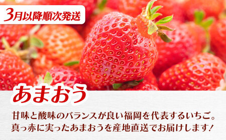 【全3回定期便】九州・福岡もぎたて フルーツ定期便 C　桂川町/一般社団法人地域商社ふるさぽ[ADCF019]
