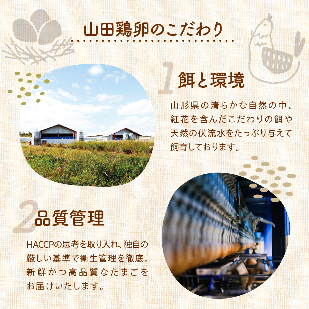 【定期便】 紅花たまご 60個 × 3ヶ月 計180個 ( 10個 × 6パック × 3回 ) 卵 赤玉 たまご 鶏卵 生卵 玉子 濃厚 極上 産地直送 新鮮 産みたて 山形県 米沢市