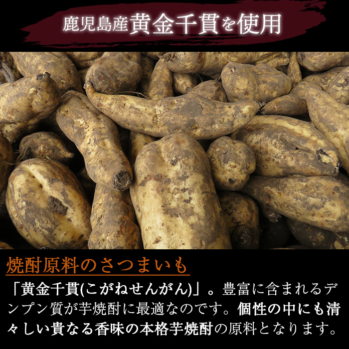 i494 鹿児島本格芋焼酎！天守の雫(900ml×12本・アルコール度数25度)紫尾山の水と黄金千貫で仕込んだ焼酎！【岩田産業】