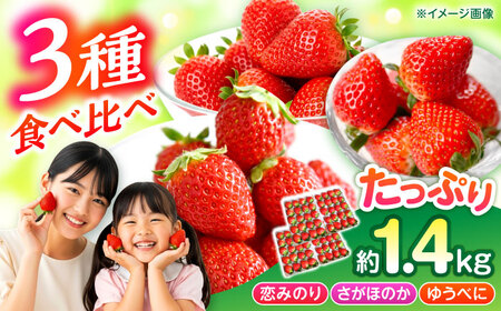 【先行予約】3品種いちごの食べ比べ 計約1.4kg いちご[AYBQ086]