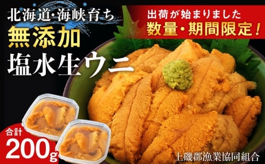 【2025年6月中旬以降発送】 キタムラサキウニ 100g×2パック 上磯郡漁業協同組合