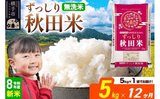 《令和8年産 新米受付》《定期便12ヶ月》秋田県 横手市産 ブレンド米【無洗米】5kg（5kg×1袋） [米 お米 こめ 白米 無洗米 ブレンド米 小分け ご飯 ごはん 秋田県産 横手市]