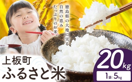 【年明けにお届け！】もちもち美味しい！ 上板町ふるさと米 精米 20kg 《1月中旬-2月末頃出荷》徳島県 上板町 お米 米 白米