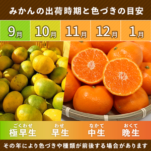【みかん】 訳あり 愛媛みかん 10kg 傷み補償付き 