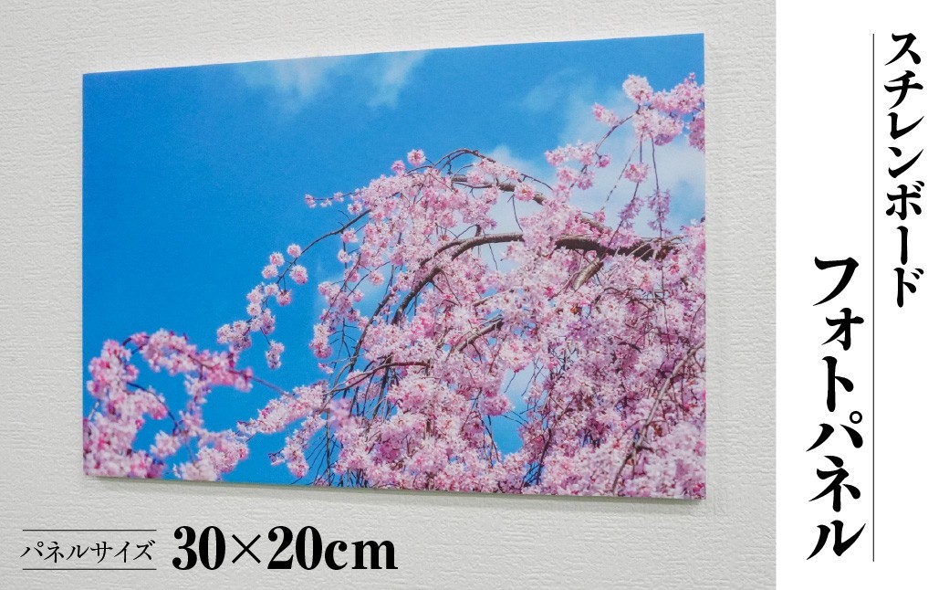 
                  012-015 スチレンボードフォトパネル30×20cm   YSKBＷ001
                