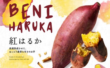 都城産 長期熟成紅はるか 3kg_LE-I201_(都城市)都城産さつまいも 熟成紅はるか 3kg 長期熟成 スイーツ