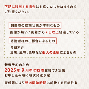 【 先行予約 】 令和7年産 のと米 15kg 米 米 米 米 米 米